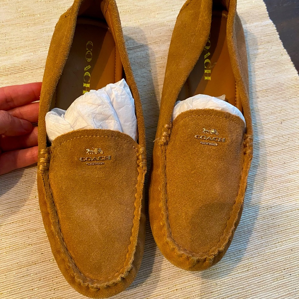 Coach shoes